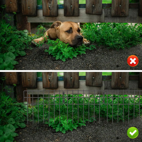 Image showing a dog under a wooden fence in the top half and Set Of 25 No Dig Garden Fence Panels, Rustproof Metal Wire installed below.