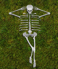 Life Size Skeleton Bones 35 Piece Halloween Decor Set laid out on grass, shatterproof plastic skeleton for graveyard scenes.