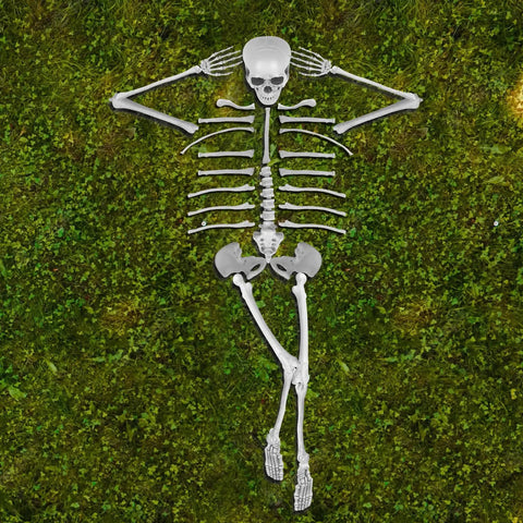 Life Size Skeleton Bones 35 Piece Halloween Decor Set laid out on grass, shatterproof plastic skeleton for graveyard scenes.