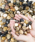 Hands holding polished river rock gravel set 0.5-1.2 inch natural mixed color pebbles for decor, yard, garden, aquarium, terrarium.
