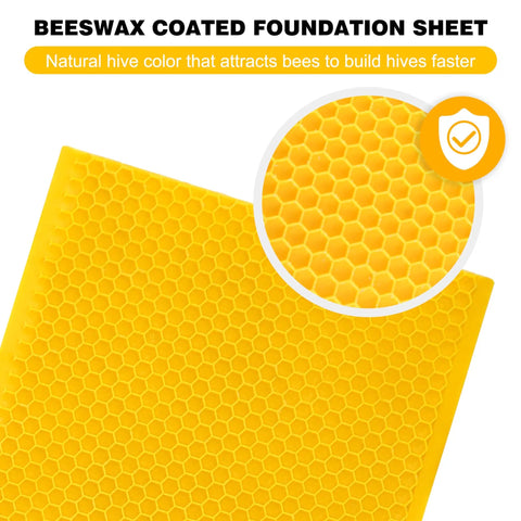 Close-up of yellow beeswax coated foundation sheet showing honeycomb texture for medium frame beekeeping hive kit.