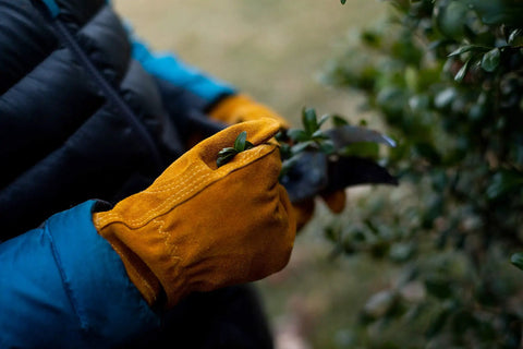 Durable Synthetic Leather Kids Garden Gloves For 7 To 9 Year Olds in use, bright yellow, non-slip, with plant in hand