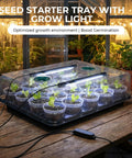 Two Pack 3 Inch Seed Starter Trays With Grow Lights And Humidity Domes, 40 clear nursery pots, indoor use, wooden table
