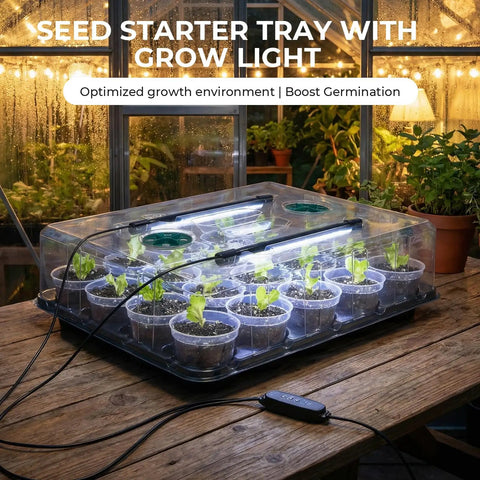 Two Pack 3 Inch Seed Starter Trays With Grow Lights And Humidity Domes, 40 clear nursery pots, indoor use, wooden table