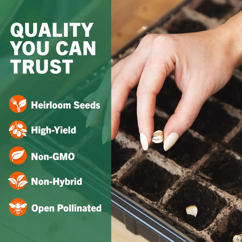 Hand planting seed in tray from Seed Vault Bundle With 44 Heirloom Seeds For Vegetables Fruits And Herbs Non GMO Garden Kit