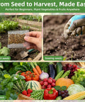 Huge 15000 Seeds Non GMO Heirloom Seed Kit For Hydroponic Indoor And Outdoor Growers Tomatoes Cucumbers Carrots Beans Lettuce