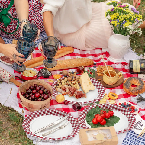 Kickin Vibes Red Gingham Oval Paper Plates 40 Count 10 X 12 Inch Heavy Duty Disposable set on picnic with food and drinks.
