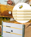 12 Pack Wooden Beehive Entrance Reducers For 10 Frame Hives used by beekeeper inspecting hive frame.