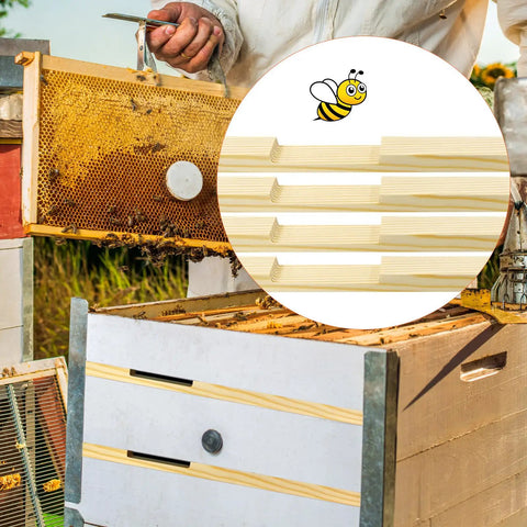 12 Pack Wooden Beehive Entrance Reducers For 10 Frame Hives used by beekeeper inspecting hive frame.