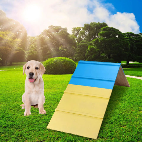 A Frame Dog Agility Ramp For Backyard Training Dope Outdoor Jumping Gear 83.5 By 23.6 Inches with dog sitting on grass