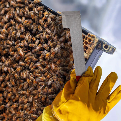 Close-up of Five Pack Beehive Tool Set With J Hook Frame Lifter And Scraper Stainless Steel Beekeeper Tools With Red Handles in use.