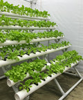 Hydroponic system using 20 Pack 1/2 Inch PVC Pipes, 17 Inch Long Schedule 40, DIY Friendly Builds For Greenhouse, Garden, Farm, Workshop Shelves And Furniture Frames, White Construction Tubes For Home Projects.