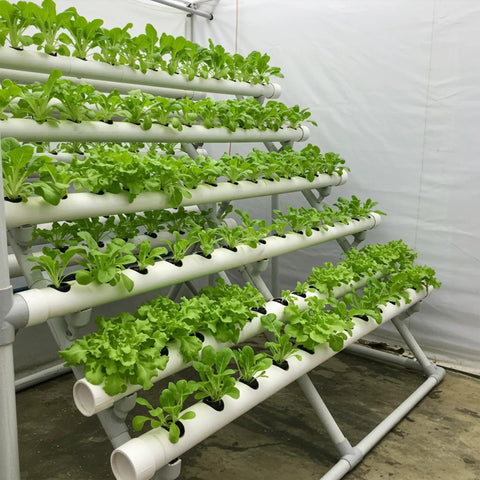 Hydroponic system using 20 Pack 1/2 Inch PVC Pipes, 17 Inch Long Schedule 40, DIY Friendly Builds For Greenhouse, Garden, Farm, Workshop Shelves And Furniture Frames, White Construction Tubes For Home Projects.