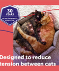 Two cats peacefully resting together, showcasing the effect of Calming Plug In Diffuser Starter Kit For Cats 30 Day Pheromone Diffuser Helps Cut Cat Drama And Tension In Multi Cat Households For A Chill Stress Free Peaceful Home 48ml.