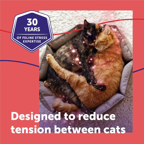 Two cats peacefully resting together, showcasing the effect of Calming Plug In Diffuser Starter Kit For Cats 30 Day Pheromone Diffuser Helps Cut Cat Drama And Tension In Multi Cat Households For A Chill Stress Free Peaceful Home 48ml.