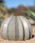 Golden Barrel Cactus Torch Outdoor Yard Art In Weatherproof Steel Large 18 Inch Wide By 13 Inch High Lawn Decor That Burns For 4 To 6 Hours Southwestern Desert Tiki Light For Backyard Vibes on desert landscape