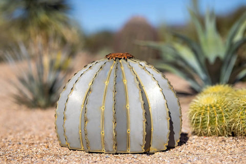 Golden Barrel Cactus Torch Outdoor Yard Art In Weatherproof Steel Large 18 Inch Wide By 13 Inch High Lawn Decor That Burns For 4 To 6 Hours Southwestern Desert Tiki Light For Backyard Vibes on desert landscape