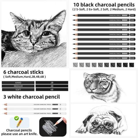 27 Piece Charcoal Drawing Set for Artists With Black and White Charcoal Pencils, White Charcoal, Graphite Sticks, Willow Charcoal