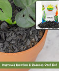 Hardwood Charcoal Soil Additive For Indoor Plants 2 Quarts Perfect For Orchids Terrariums And Gardens Boosts Drainage