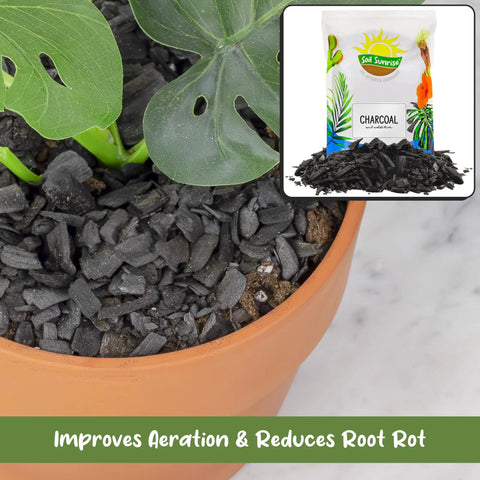Hardwood Charcoal Soil Additive For Indoor Plants 2 Quarts Perfect For Orchids Terrariums And Gardens Boosts Drainage