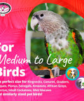 Tape Dispenser Bird Toy With Cardboard Bagel And Machine Paper, Chewable Shredding Components, Sensory Bell, Perfect For African Grey Parrots And Cockatoos, Large Bird Size 14x5 Inches, High Energy Mental Stimulation And Fun.
