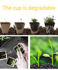 240 Cell Seed Starter Tray Kit with Biodegradable Peat Pots shown with growing seedlings and hand planting