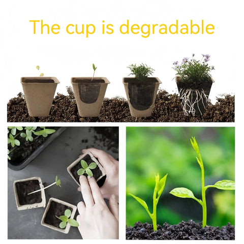 240 Cell Seed Starter Tray Kit with Biodegradable Peat Pots shown with growing seedlings and hand planting