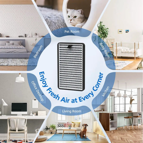 Replacement HEPA Carbon Filter For DSTx Mini Personal Portable Air Purifier in various room settings with pets and furniture