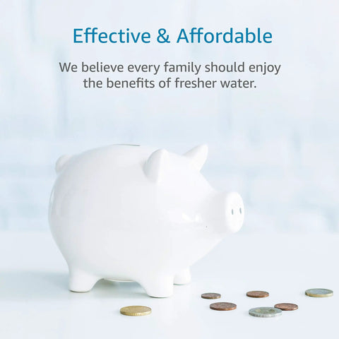 White piggy bank with coins, symbolizing affordability, related to Replacement Coffee Water Filter Pack of 2 for Gaggia Philips Saeco.