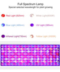 Full spectrum lamp image showing red, blue, white, UV, and infrared lights, part of Powerful 2000W UV Light Box Curing Enclosure For Shoes And Resin.