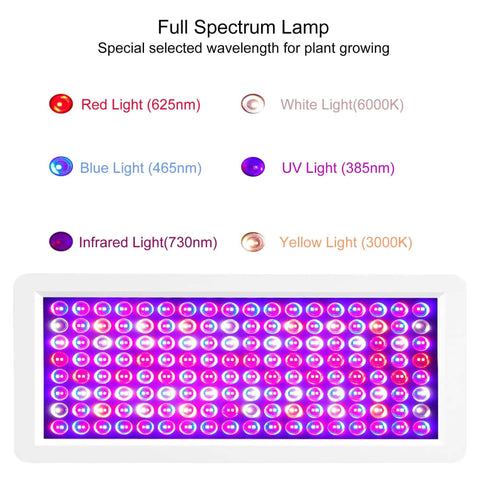 Full spectrum lamp image showing red, blue, white, UV, and infrared lights, part of Powerful 2000W UV Light Box Curing Enclosure For Shoes And Resin.