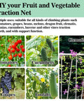 Heavy Duty Garden Trellis Netting 5 By 15 Feet Polyester Nylon Square Mesh For Climbing Plants Fruits Vegetables And Vines Durable Reusable Plant Support For Vertical Growth In Greenhouses And Outdoor Gardens in use with tomatoes, cucumbers, grapes, loofahs, and clematis.