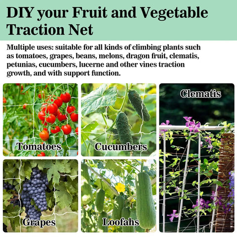 Heavy Duty Garden Trellis Netting 5 By 15 Feet Polyester Nylon Square Mesh For Climbing Plants Fruits Vegetables And Vines Durable Reusable Plant Support For Vertical Growth In Greenhouses And Outdoor Gardens in use with tomatoes, cucumbers, grapes, loofahs, and clematis.