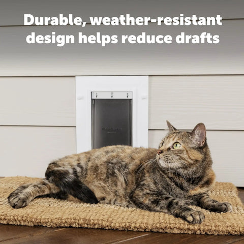 Heavy Duty Wall Entry Dog Door With Telescoping Frame Built Damn Tough Rust Proof Plastic Construction Zero Draft Insulation Slick Slide Flap No Fuss Install For Medium Dogs with cat resting near door.