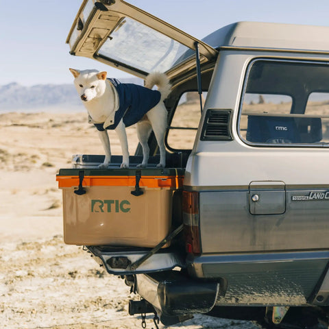Ultra Light 32 Quart Cooler That Weighs 30 Percent Less Than Rotomolded Coolers mounted on SUV with dog on top