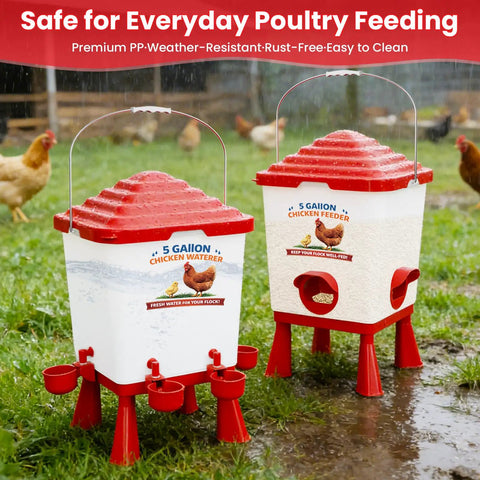 All In One Chicken Feeder And Waterer Set 5 Gallon Automatic Waterer With Cups No Waste 40 Lb Feeder For Backyard Flocks