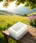 Queen Marker Cage Clip for Beekeeping Durable Plastic Queen Cage Catcher Tool on wooden table with scenic farm backdrop