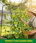 Woman harvesting cucumbers using U Shaped Metal Garden Trellis For Climbing Cucumbers And Vines, 47 Inch High And 47 Inch Wide Raised Bed Support