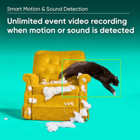 Indoor And Outdoor Plug In Smart Security Camera with AI Motion Alerts in living room with brown dog on yellow furniture.