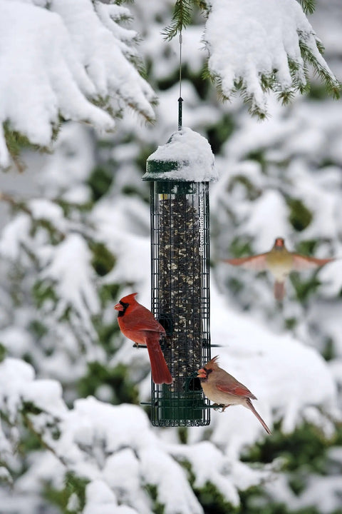 Classic Squirrel-Proof Bird Feeder With Four Feeding Ports And 2.4-Pound Seed Capacity in a snowy backyard with feeding birds
