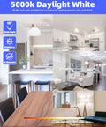 Interior spaces lit by Bright A19 LED Light Bulbs 60W Equivalent 9W Soft White 2700K 800 Lumens E26 Base Non Dimmable UL Listed 6 Pack