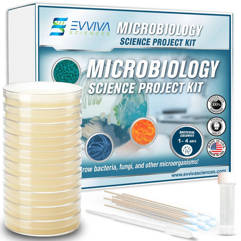 Hands On Microbiology Science Kit For Students With Ten Pre Poured Agar Plates And Cotton Tipped Sticks Learn Microbiology At Home Or In Class