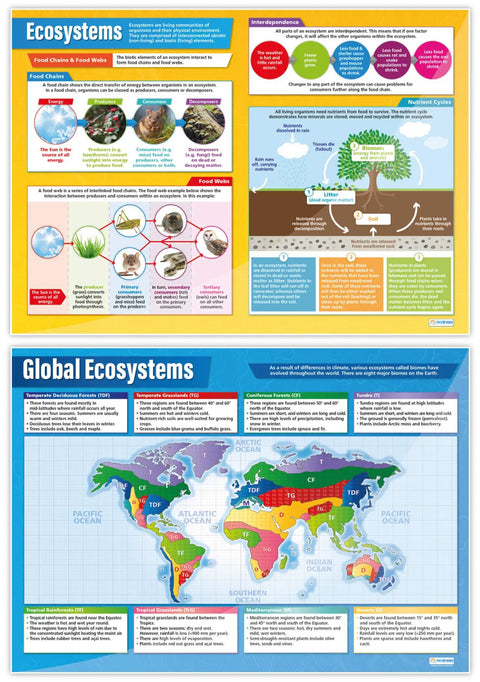 Six Extra Large Ecosystems Posters Set For Middle And High School Classrooms 33 By 23.5 Inches Glossy Paper Wall Charts with diagrams