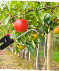 Extended Curved Sprayer Wand For Garden And Farm Use With Tough Stainless Steel Handle Compatible With Backpack Sprayers Delivers Precise Coverage For Crops And Plants in action spraying apple trees
