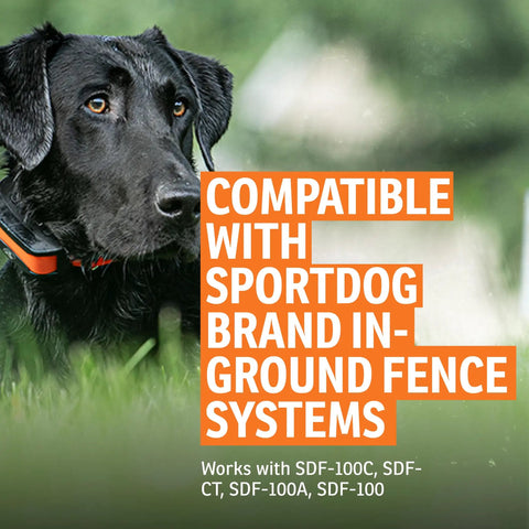 Dog wearing collar compatible with SportDog in-ground fence system, text overlay states compatibility.