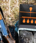 Outdoor Pellet Gun Target Trap with Center Shot, resetting metal targets, and paper targets on tree stump for practice