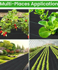 Heavy Duty Weed Barrier Fabric 3.2oz Landscape Material for Garden Beds and Driveways Includes 20 U Shaped Pegs to Secure It Down and Block Weeds Long Lasting Ground Cover for Commercial and Home Landscaping in use in various garden settings
