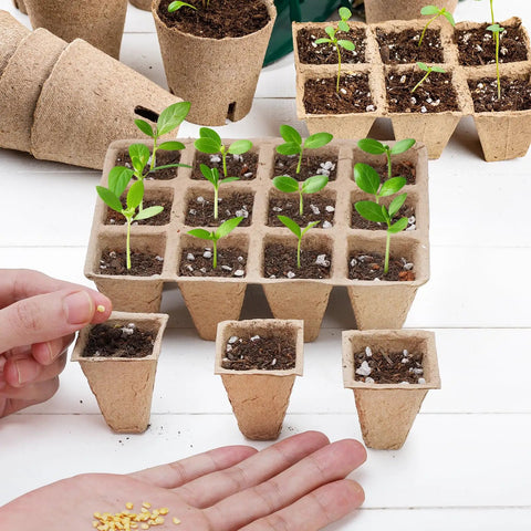 Hand planting seeds in 10 Pack 120 Cell Biodegradable Seed Starter Trays For Germination Peat Pots For Seedlings Healthy Gardener