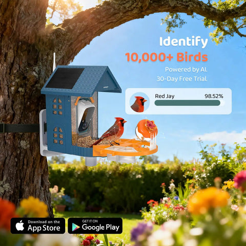 Dope Bird Feeder With Camera Outdoor Birdhouse AI Identifies 11000 Species 3K HD Quality And Arrival Alerts Solar Powered
