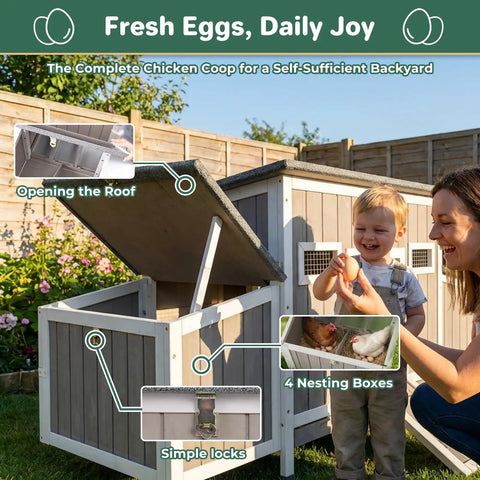 Ultimate 62 Inch Chicken Coop For 2 To 4 Chickens With Four Nesting Boxes Roosting Bars Openable Waterproof Roof Lockable Doors